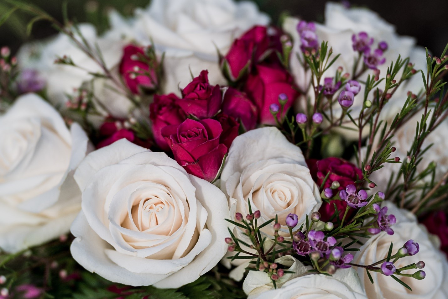 Using Flowers To Express Unspoken Feelings - A Timeless Art Of Communication