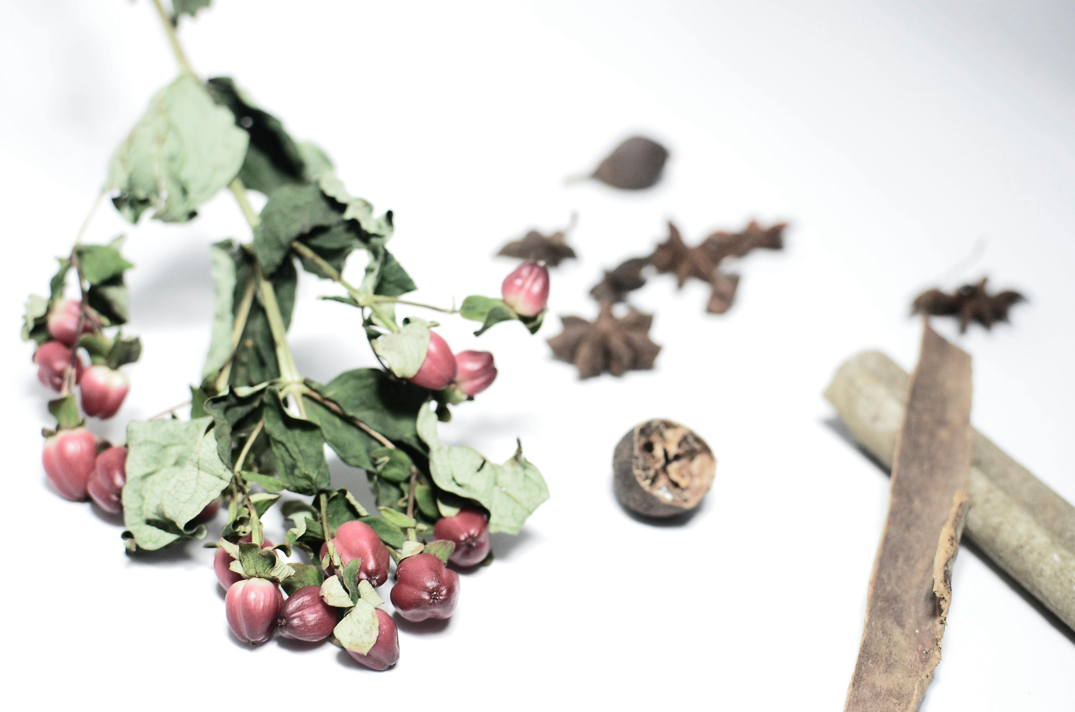 A vibrant arrangement of flowers